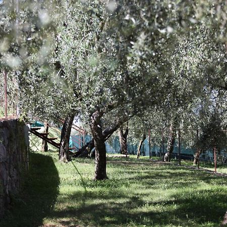 Agricampeggio Paradiso Brenzone sul Garda Exterior foto