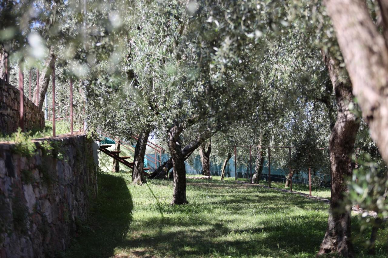 Agricampeggio Paradiso Brenzone sul Garda Exterior foto